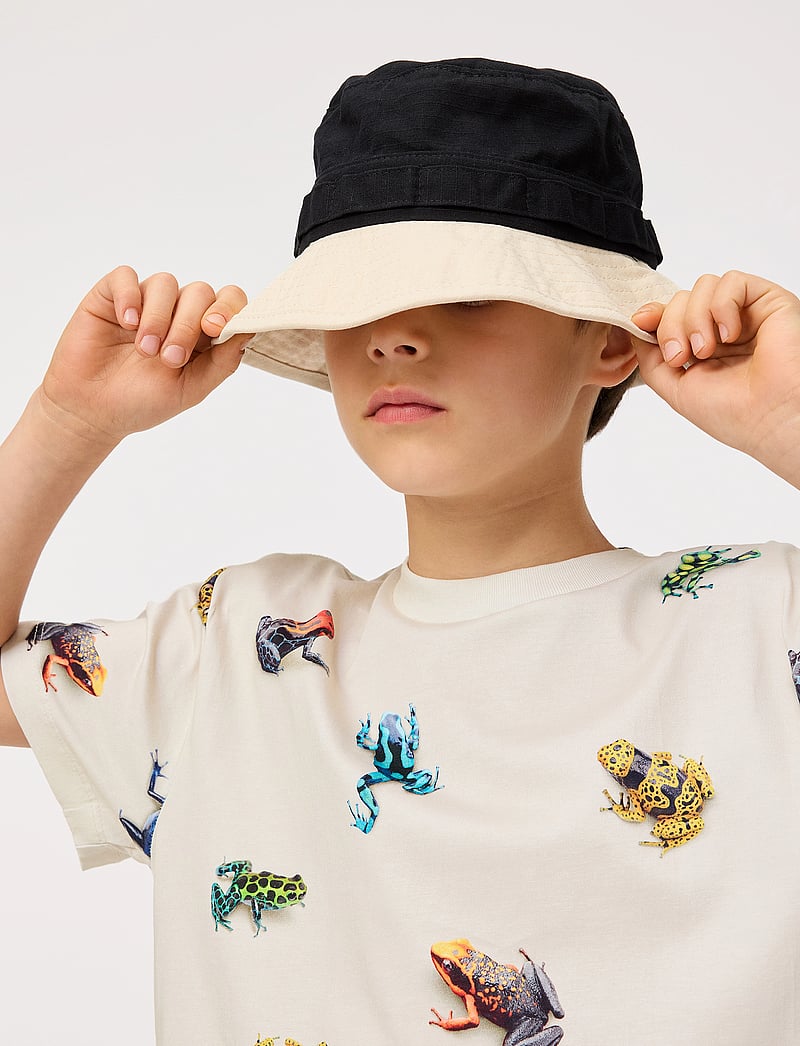 Molo - Roxo - kortärmade - vibrant frogs - 2