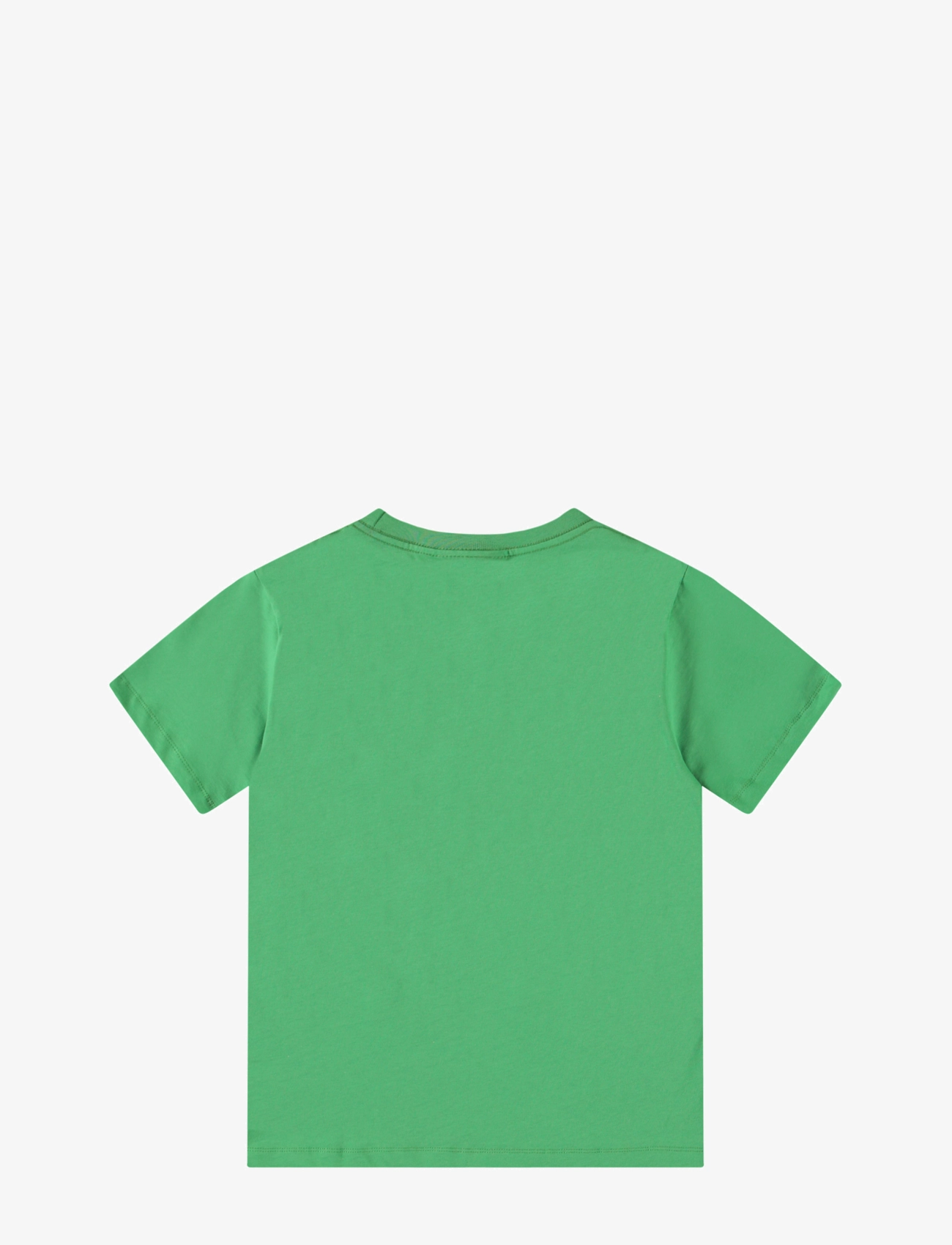 Molo - Riley - jungle dinos - 1