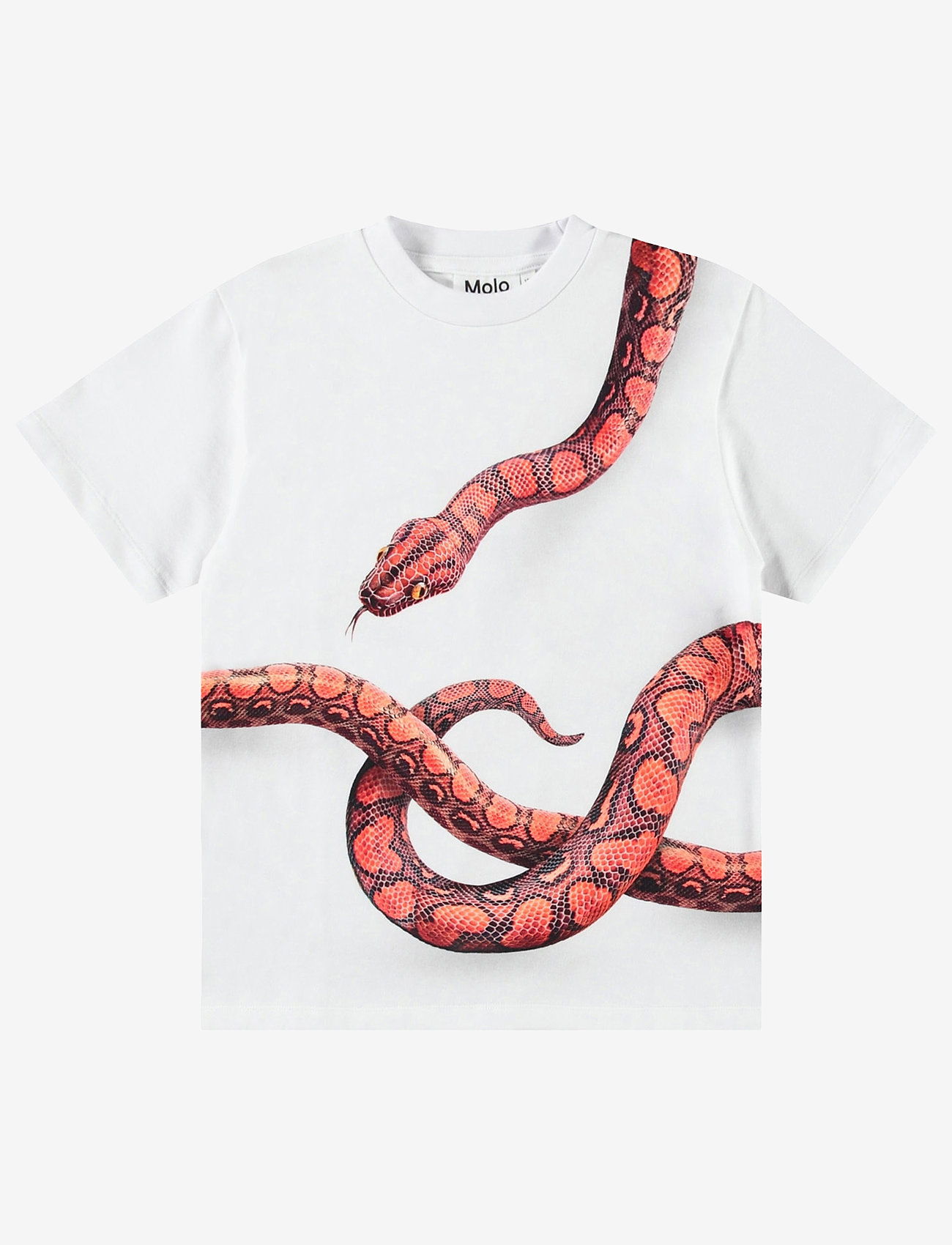Molo - Rubin - kortærmede - red snake - 0
