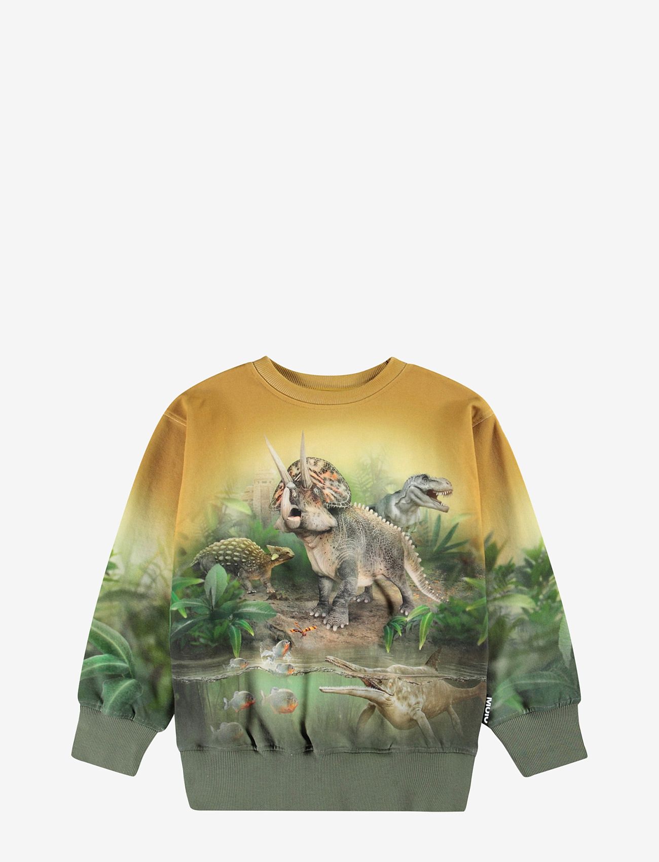 Molo - Mattis - efterårstøj - forest dinos - 0