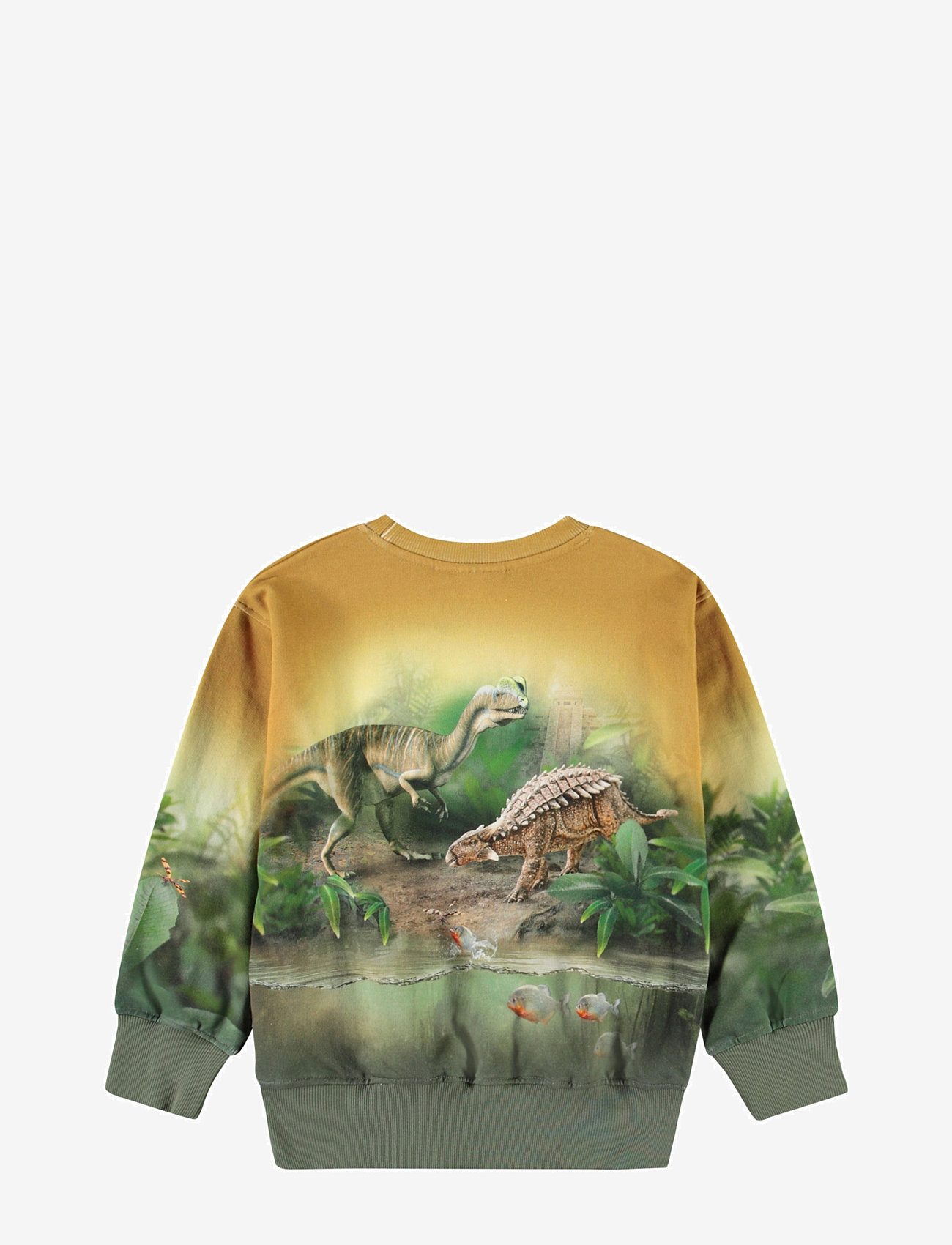 Molo - Mattis - efterårstøj - forest dinos - 1