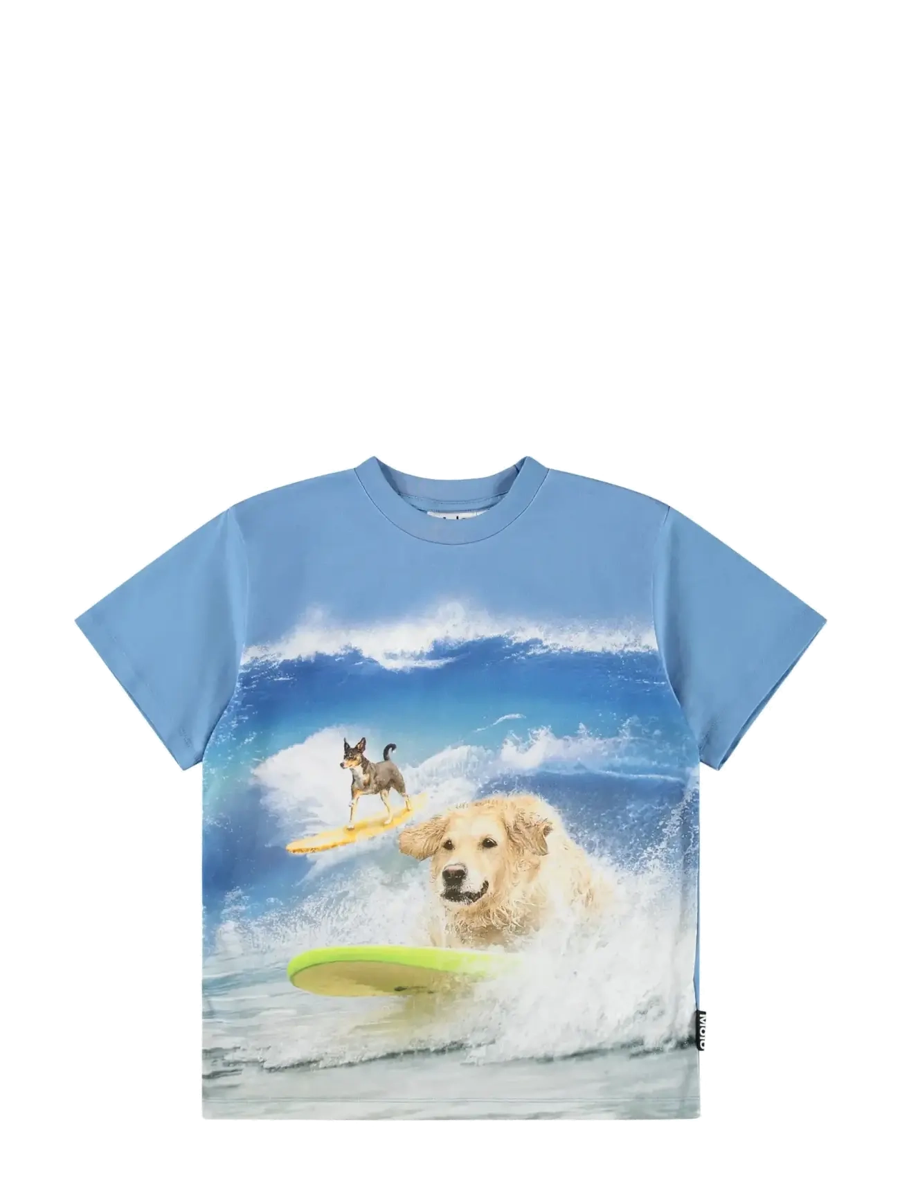 Molo Riley, 98, T-shirts, Blau - Short-sleeved, Kinder