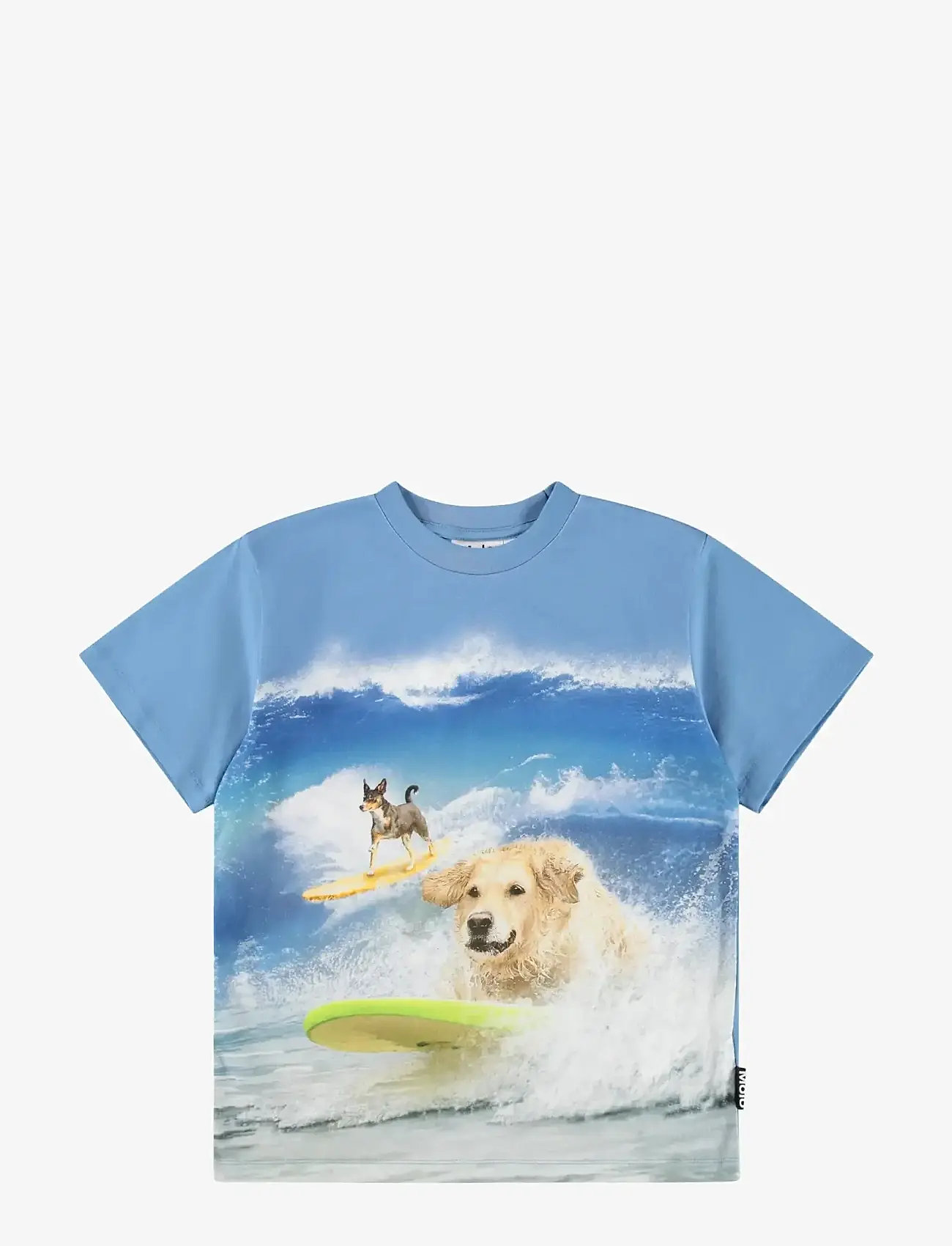 Molo - Riley - kortärmade - surf dog - 0
