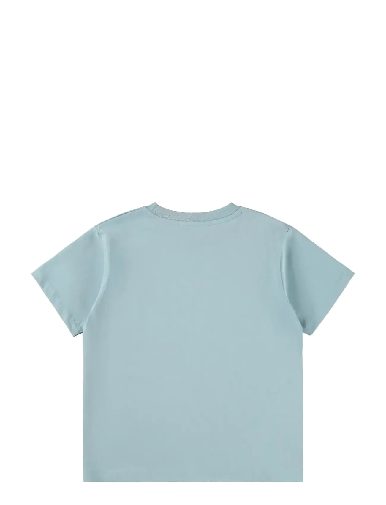 Molo - Riley - lühikeste varrukatega - bluish surfer - 1