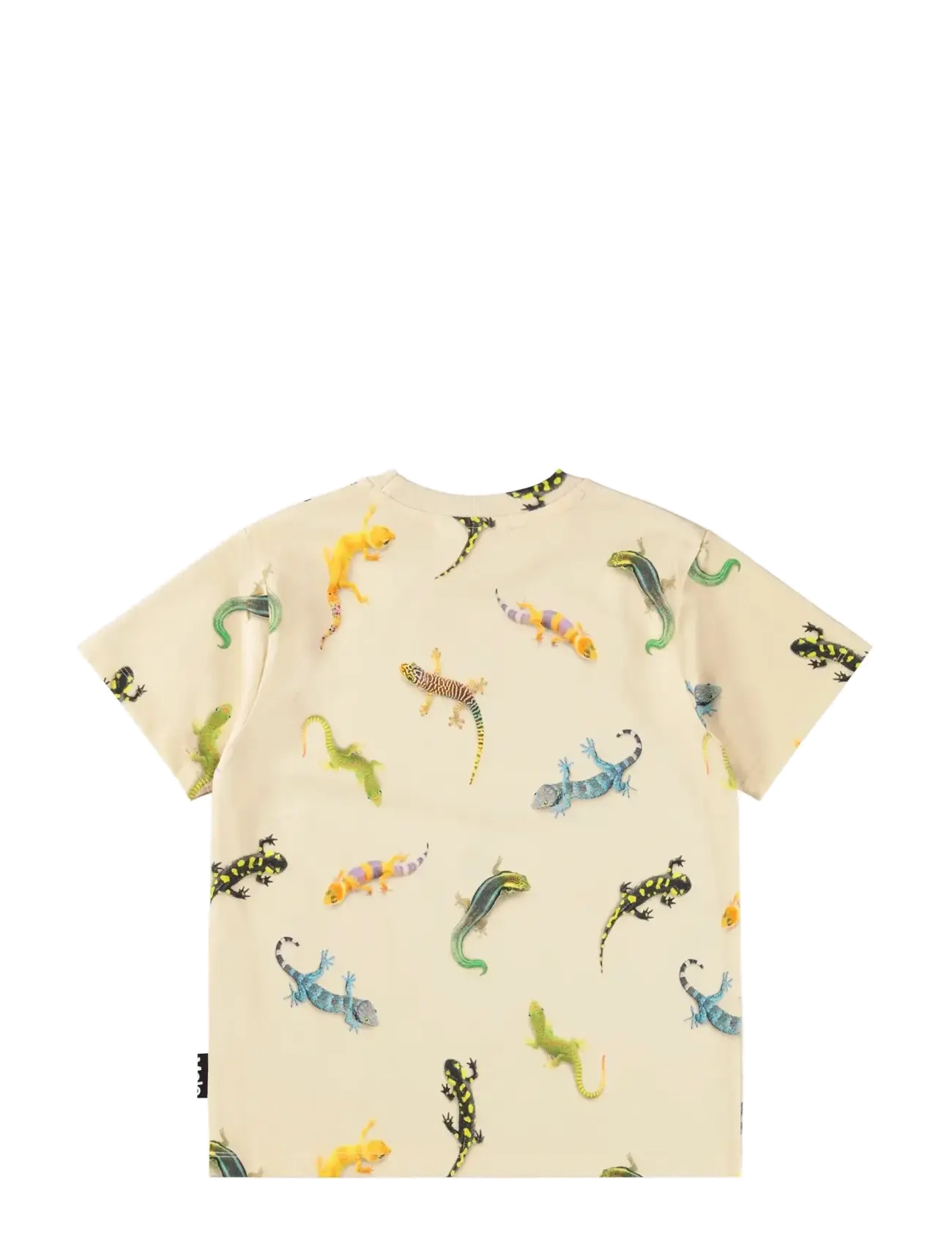 Molo - Riley - lühikeste varrukatega - geckos light - 1