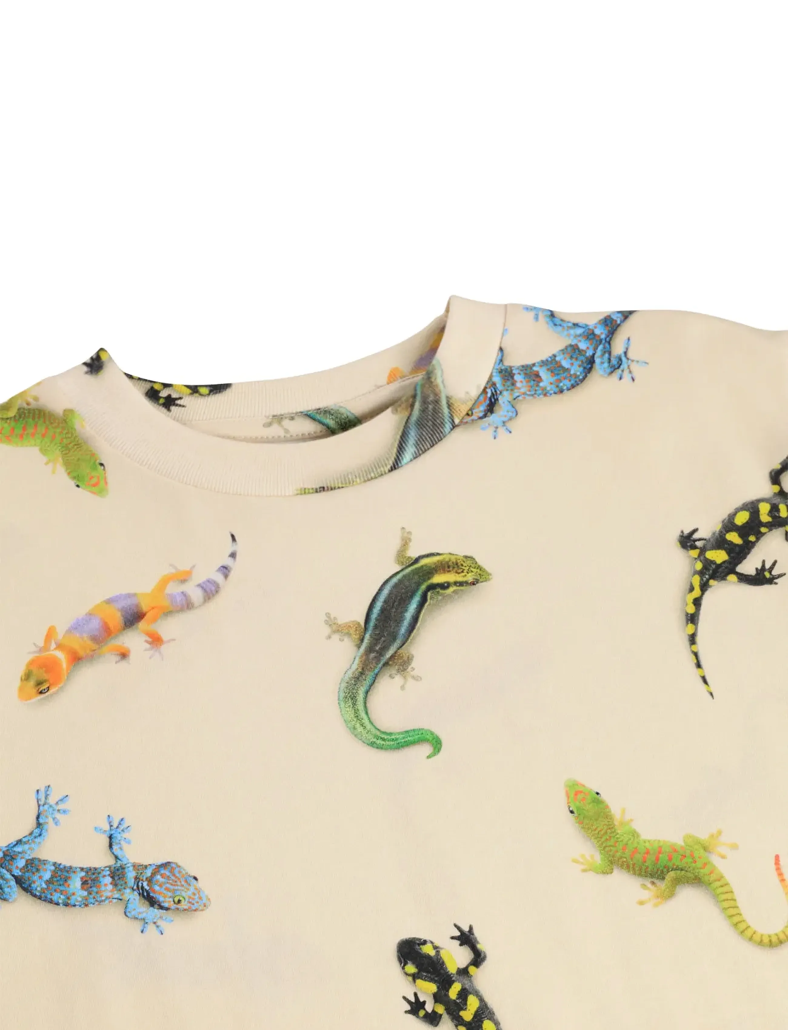Molo - Riley - lühikeste varrukatega - geckos light - 2