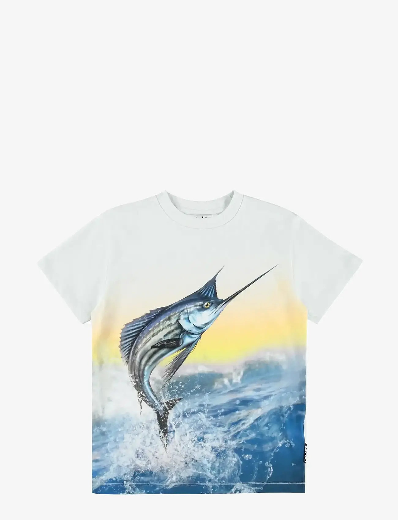 Molo - Roxo - kortærmede - sailfish - 0