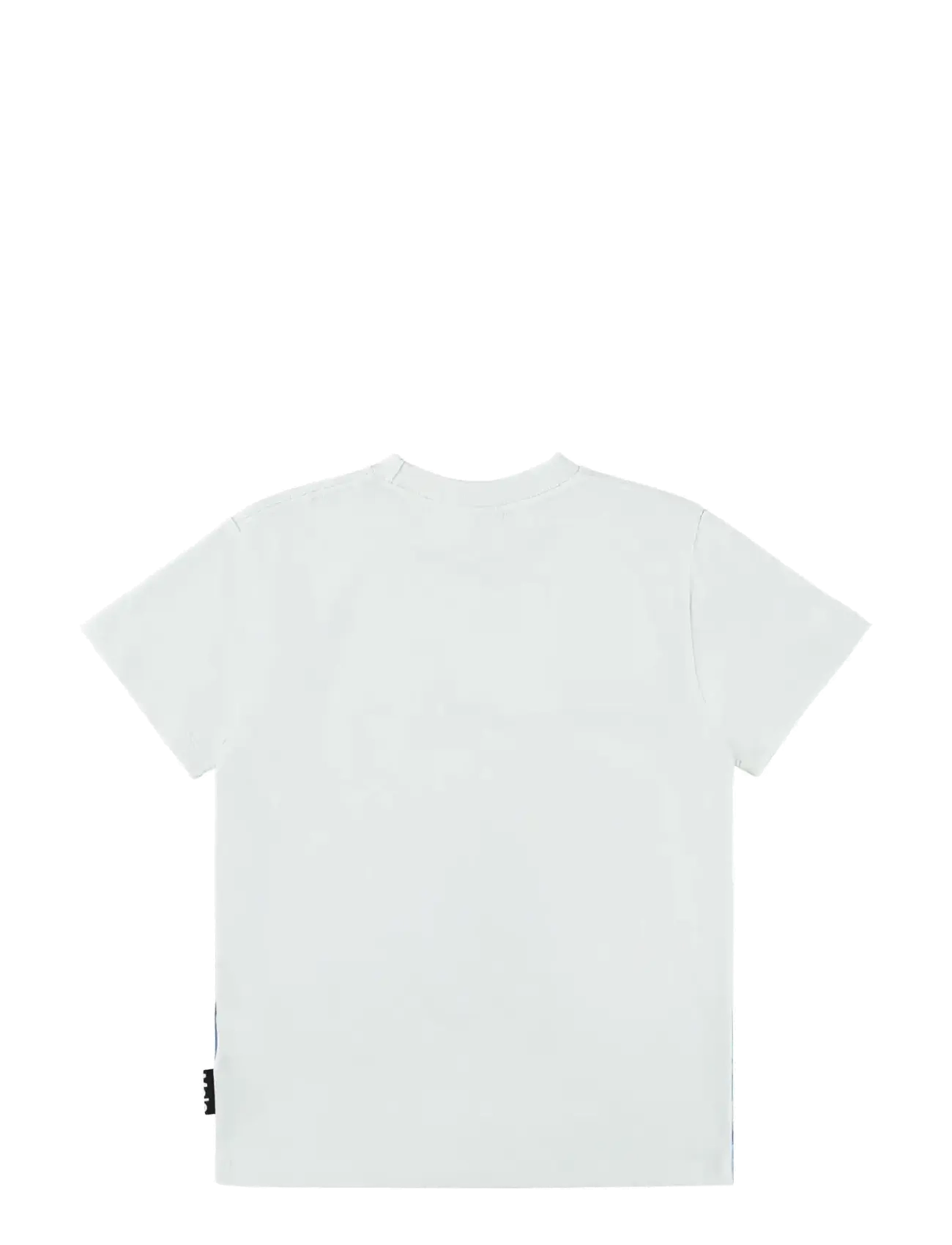 Molo - Roxo - t-shirts - sailfish - 1