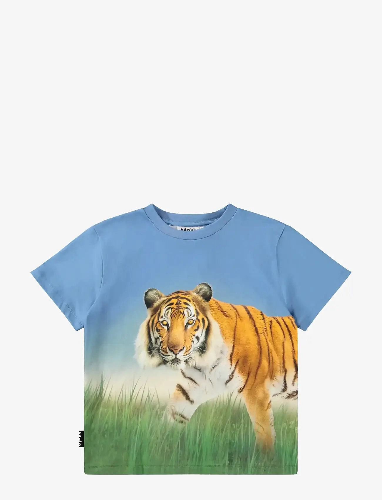 Molo - Rubin - kortärmade - tiger on blue - 0