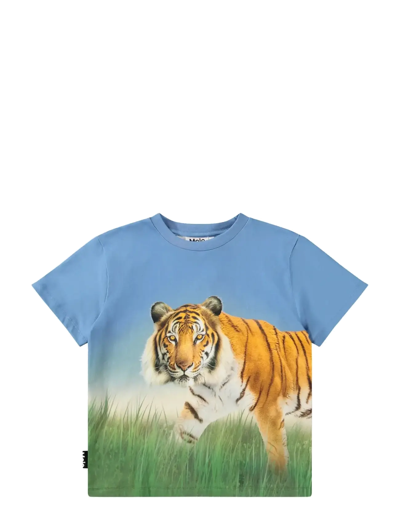 Molo Rubin - Nyheder - TIGER ON BLUE / blue