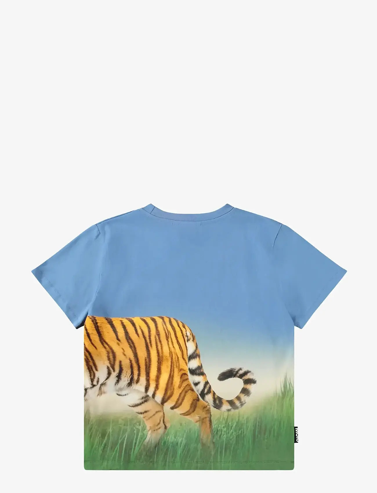 Molo - Rubin - kortärmade - tiger on blue - 1