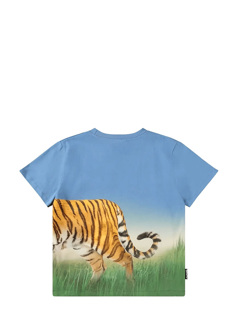 Molo - Rubin - kortärmade - tiger on blue - 1