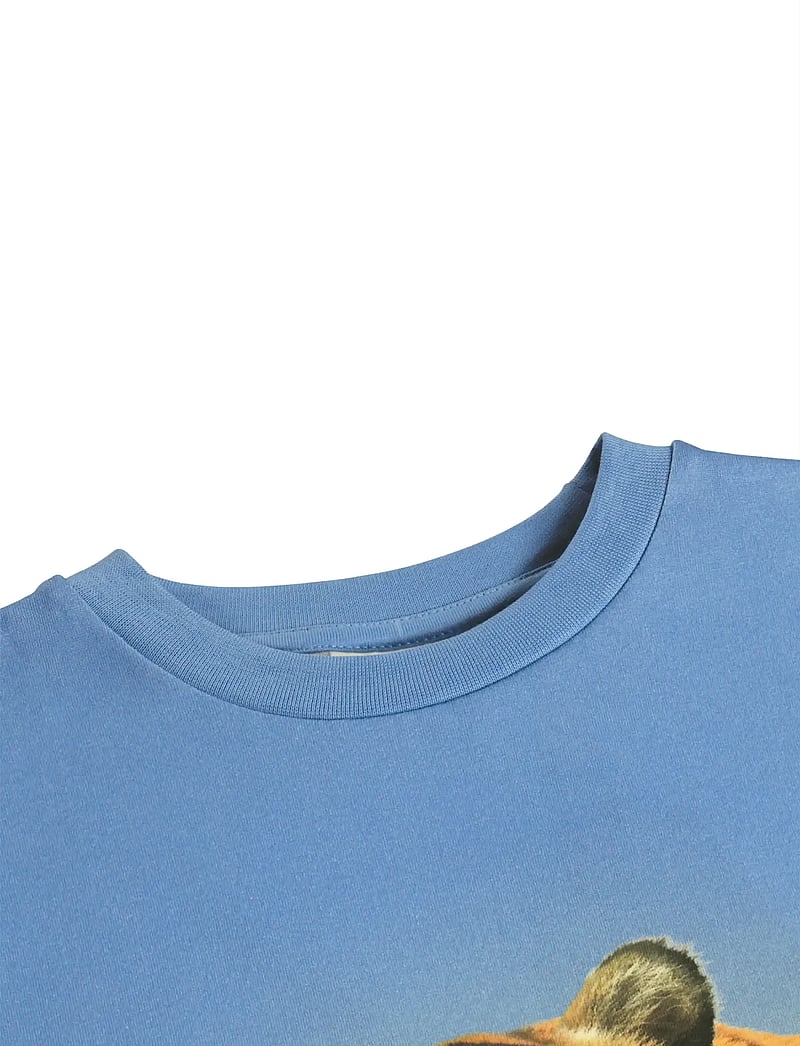 Molo - Rubin - kortärmade - tiger on blue - 2