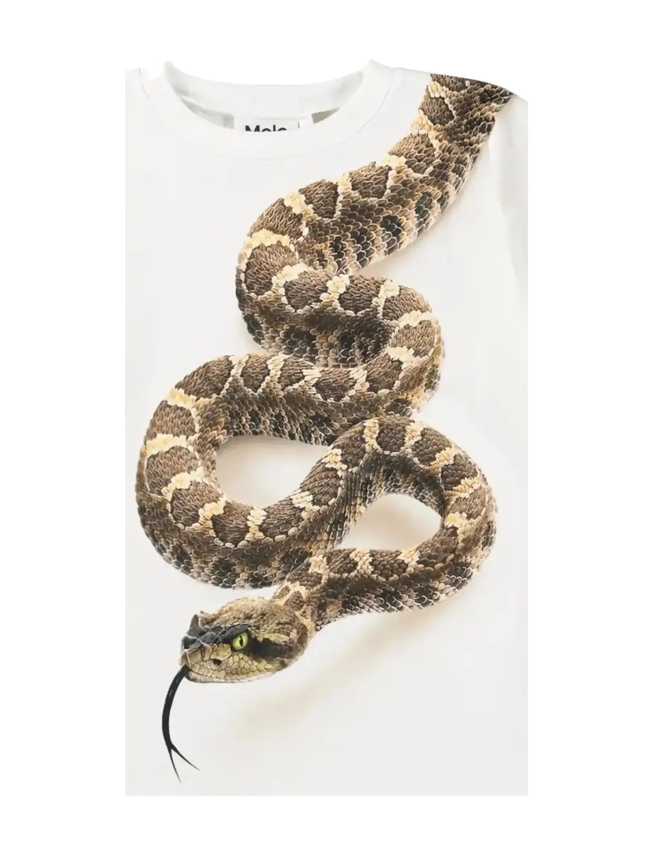 Molo Rillo - Lapsed 98–134 - RATTLE SNAKE / white