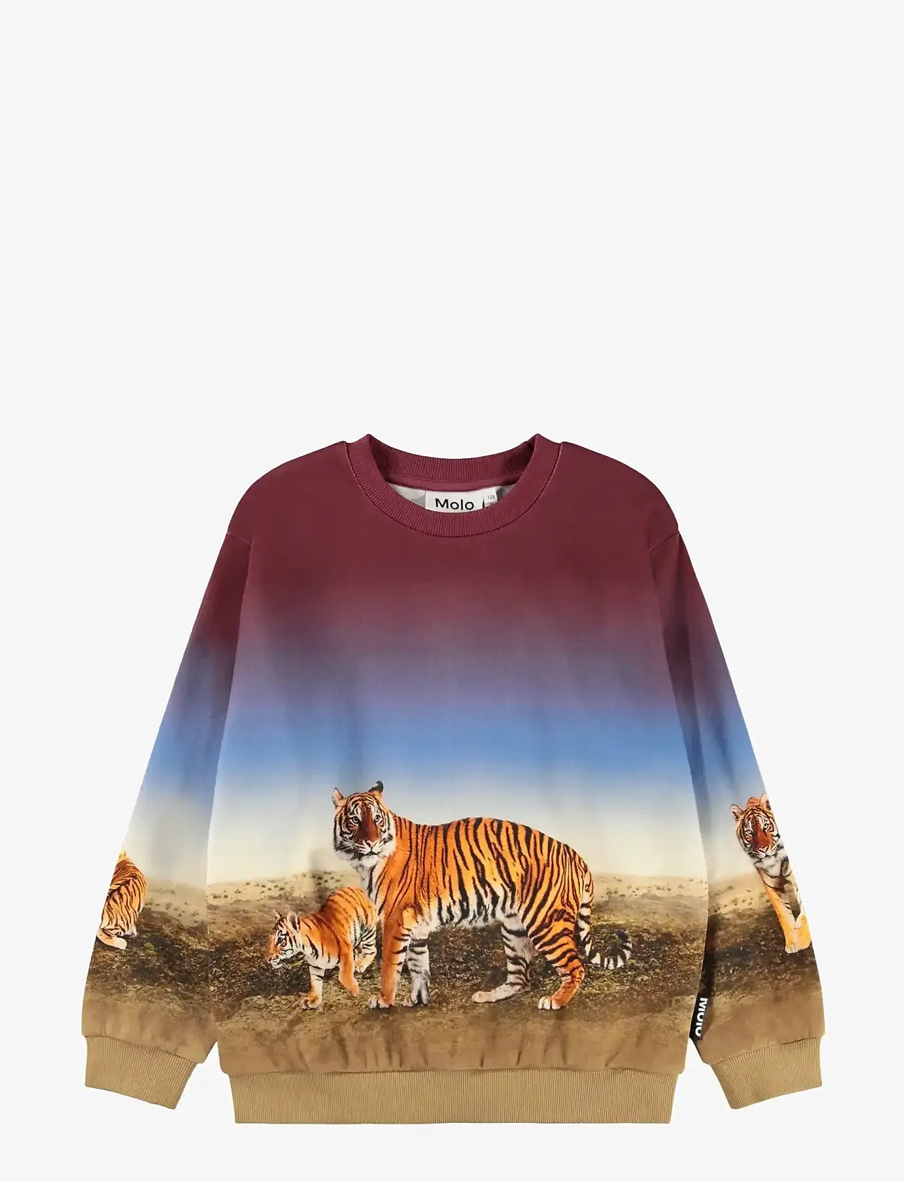 Molo - Miksi - sweatshirts - bengal tiger - 0