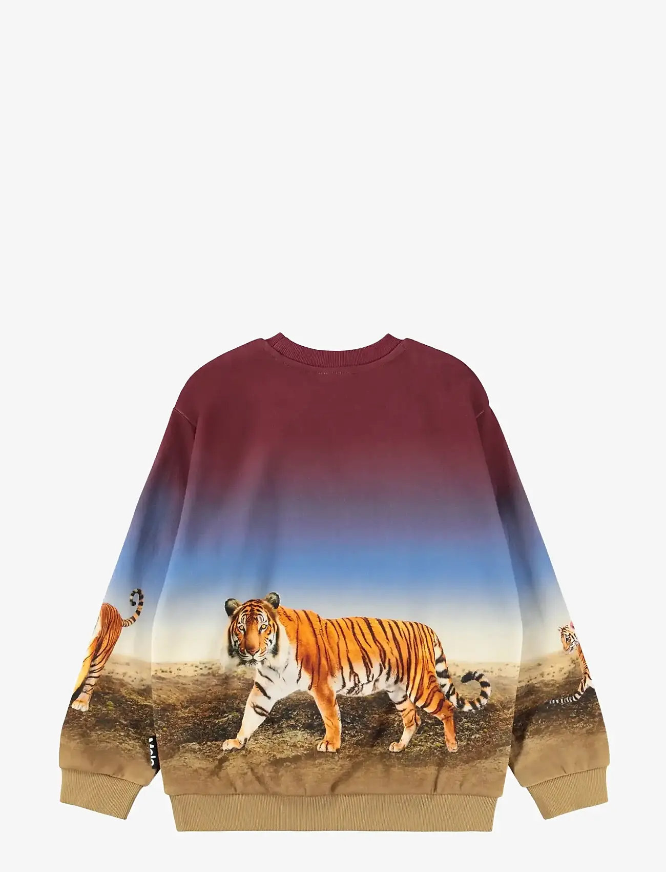 Molo - Miksi - sweatshirts - bengal tiger - 1