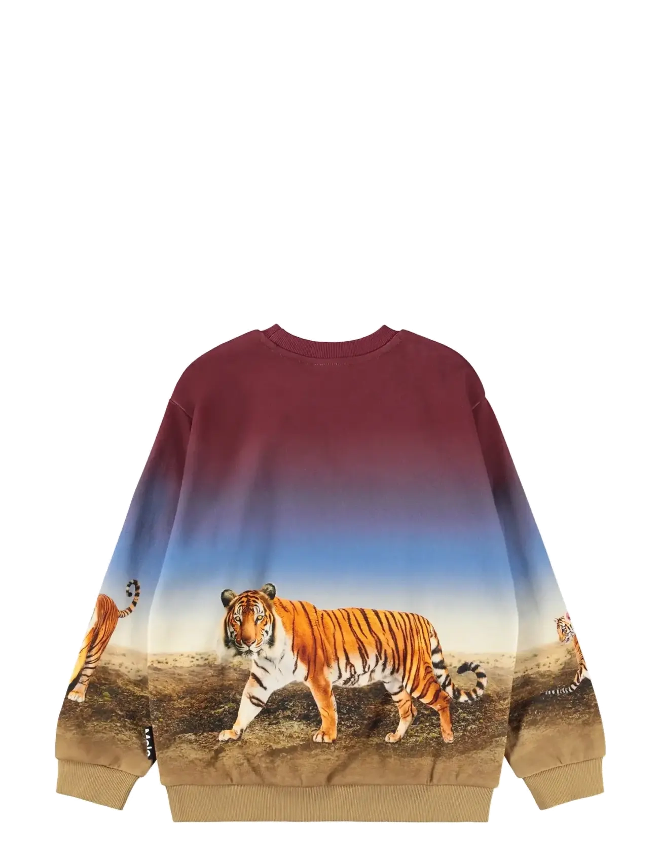 Molo - Miksi - sweatshirts - bengal tiger - 1