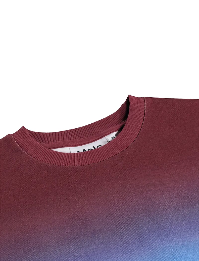 Molo - Miksi - sweatshirts - bengal tiger - 2