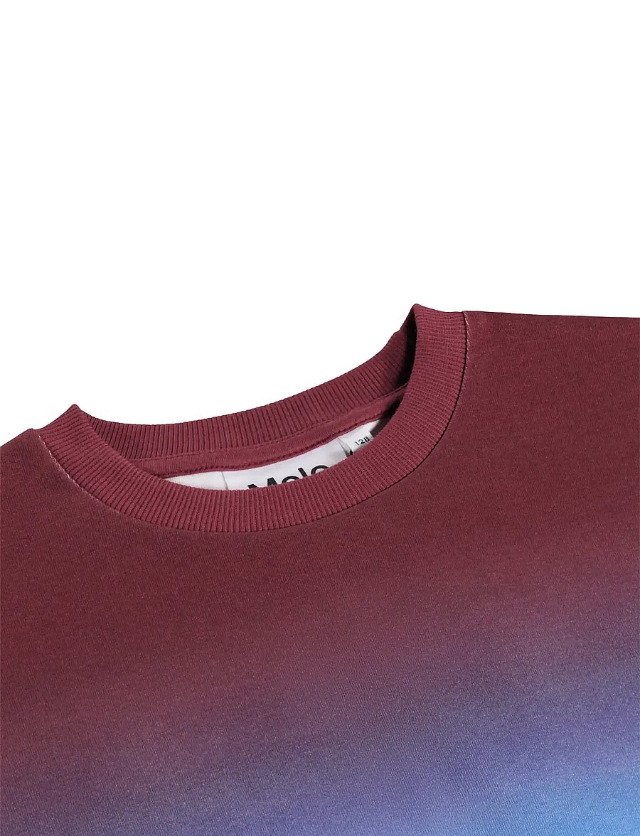 Molo - Miksi - sweatshirts - bengal tiger - 2