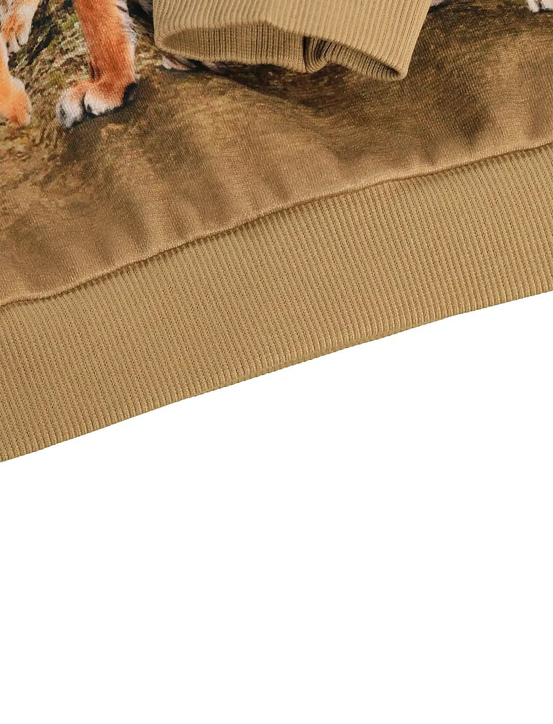 Molo - Miksi - sweatshirts - bengal tiger - 3