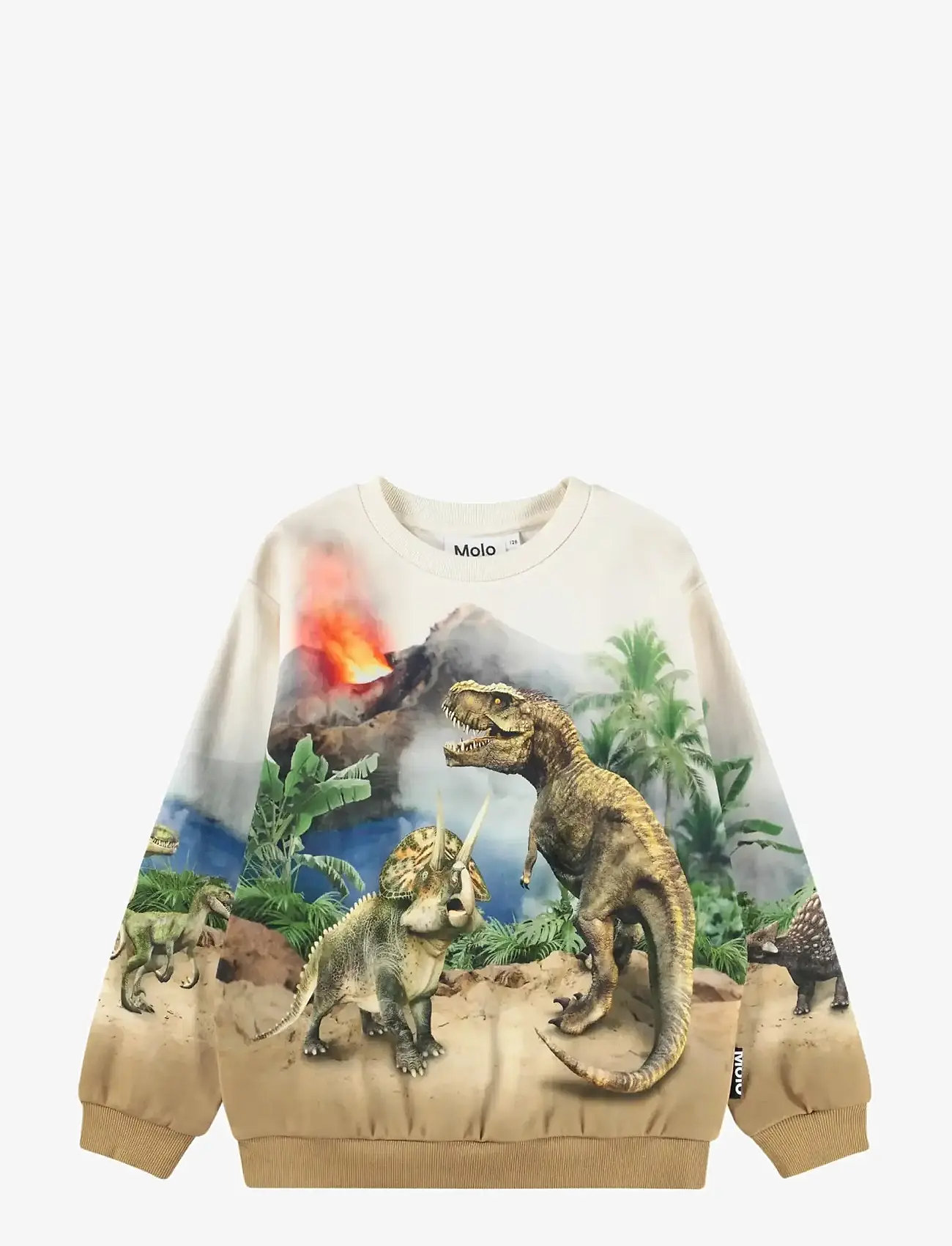 Molo - Miksi - sweatshirts - hot spring dinos - 1