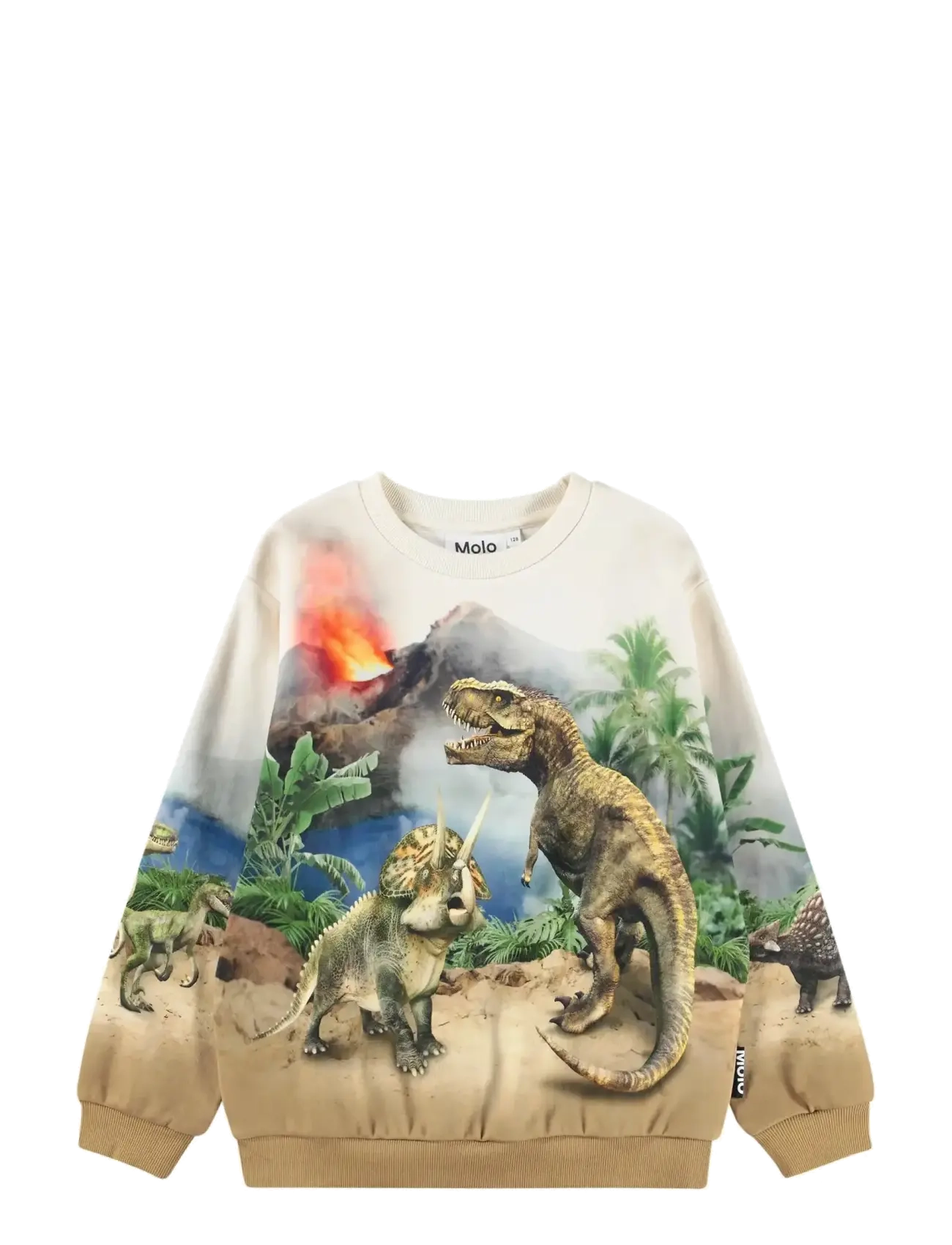 Molo Miksi - Sweatshirts & Huvtröjor - HOT SPRING DINOS / multi