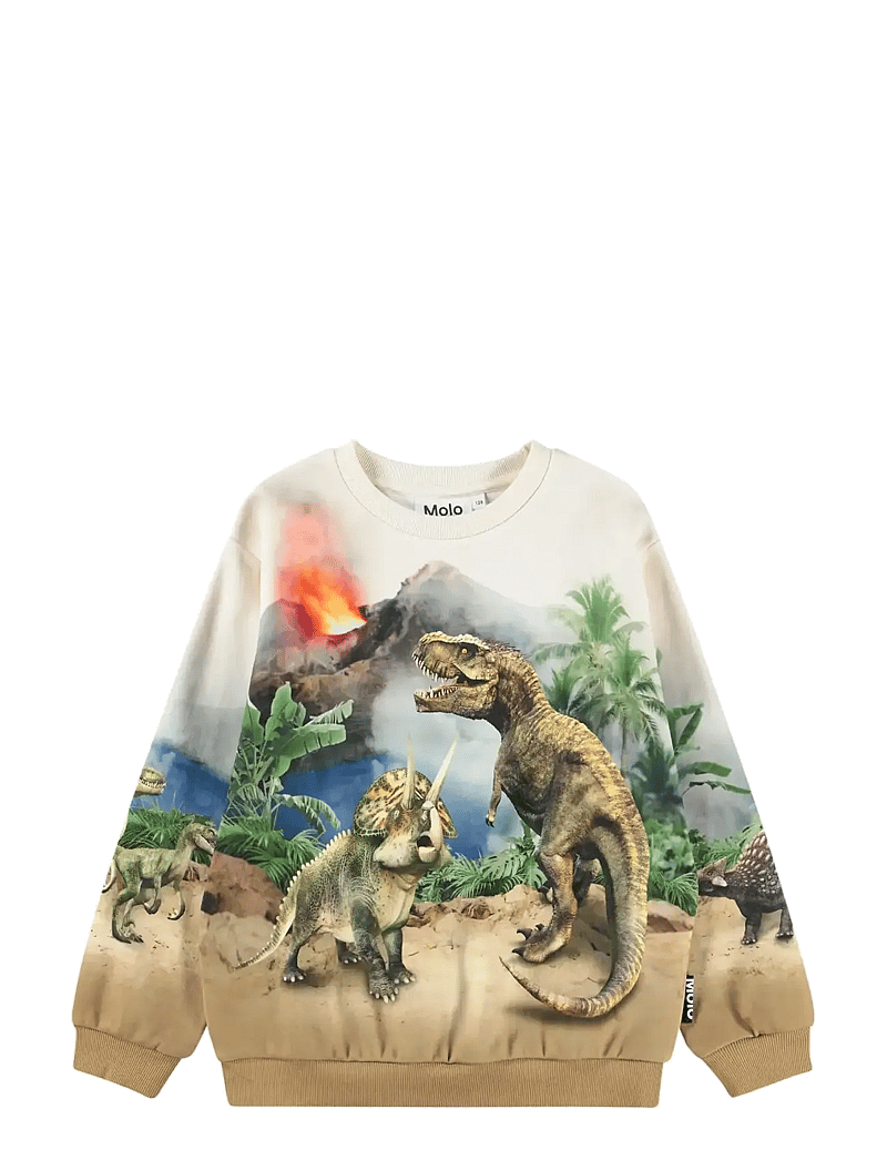 Molo - Miksi - sweatshirts - hot spring dinos - 1
