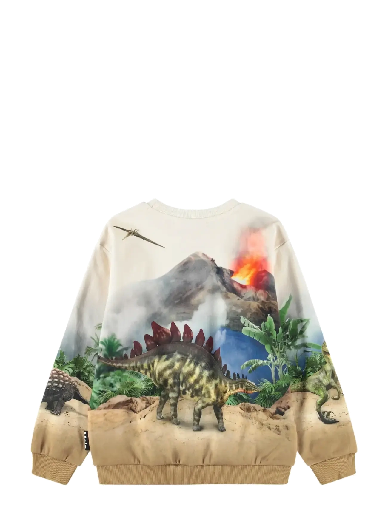 Molo - Miksi - sweatshirts - hot spring dinos - 2