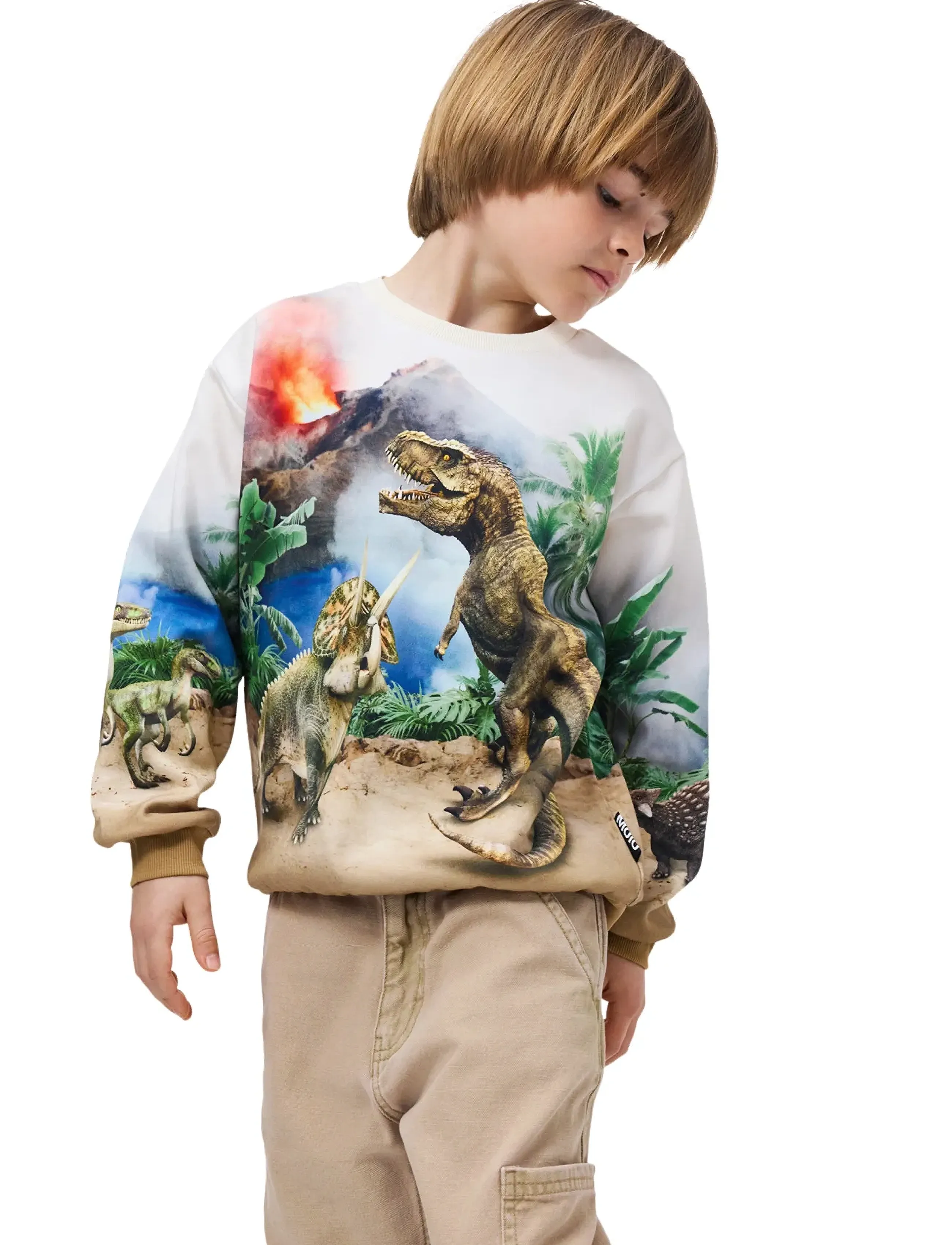 Molo Miksi - Sweatshirts & Huvtröjor - HOT SPRING DINOS / multi