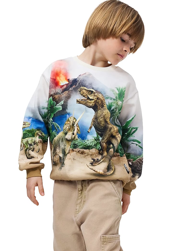 Molo - Miksi - sweatshirts - hot spring dinos - 0