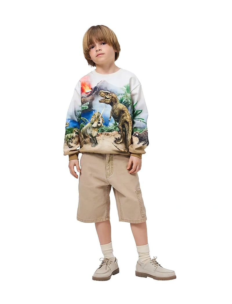 Molo - Miksi - sweatshirts - hot spring dinos - 4
