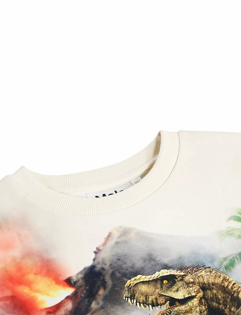 Molo - Miksi - sweatshirts - hot spring dinos - 5
