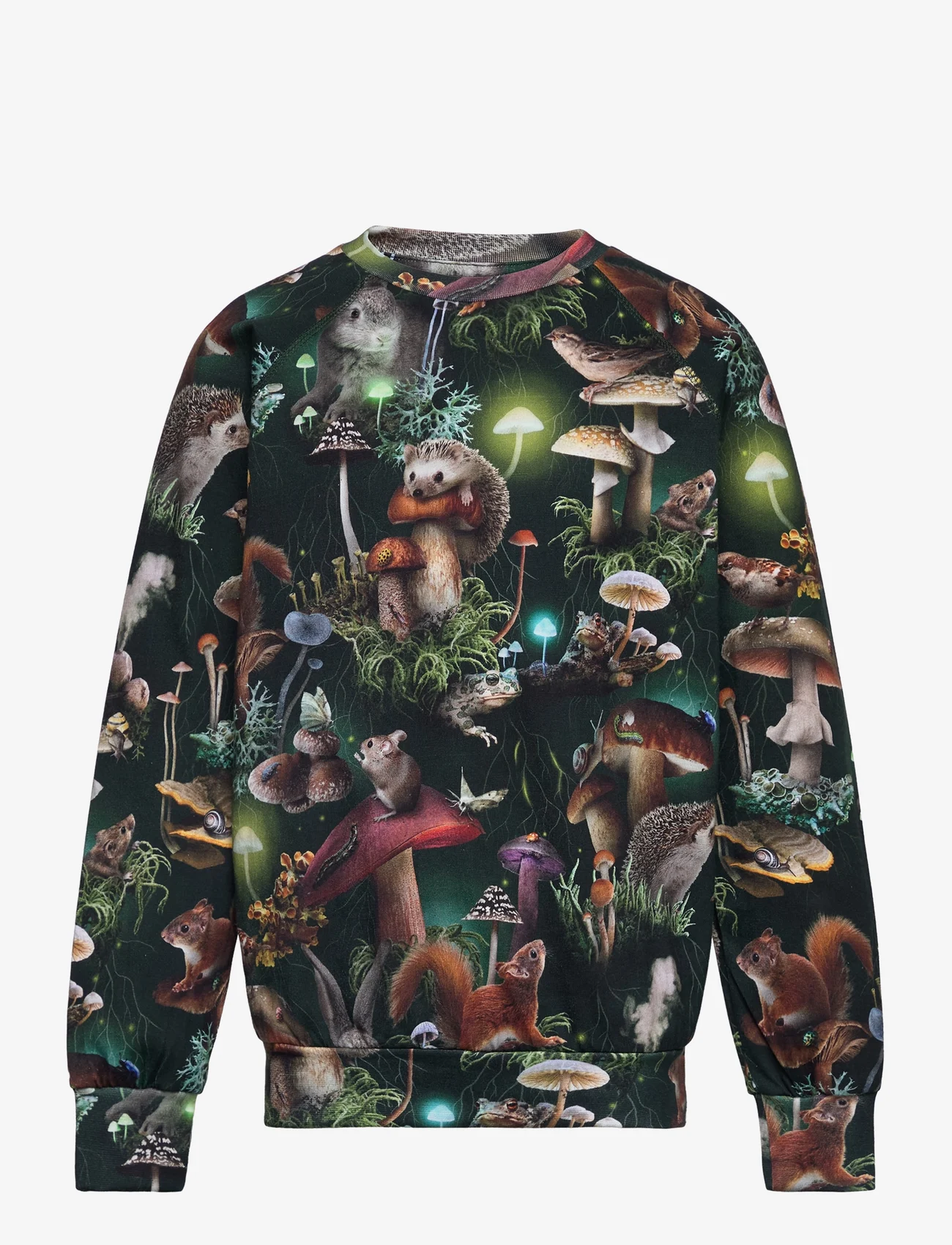 Molo - Romeo - sweatshirts & hættetrøjer - fungi life - 0