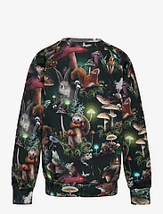Molo - Romeo - sweatshirts & hættetrøjer - fungi life - 1