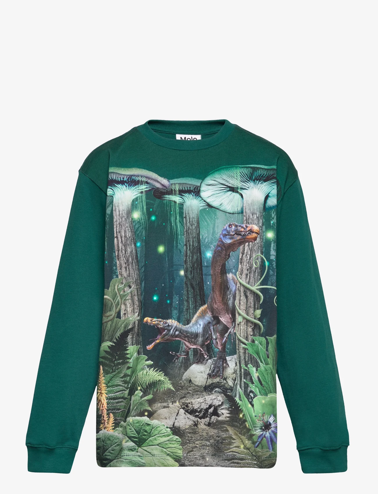 Molo - Rube - sweatshirts & hættetrøjer - nighttime dinos - 0