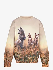 Molo - Mattis - sweatshirts & huvtröjor - bear life - 0