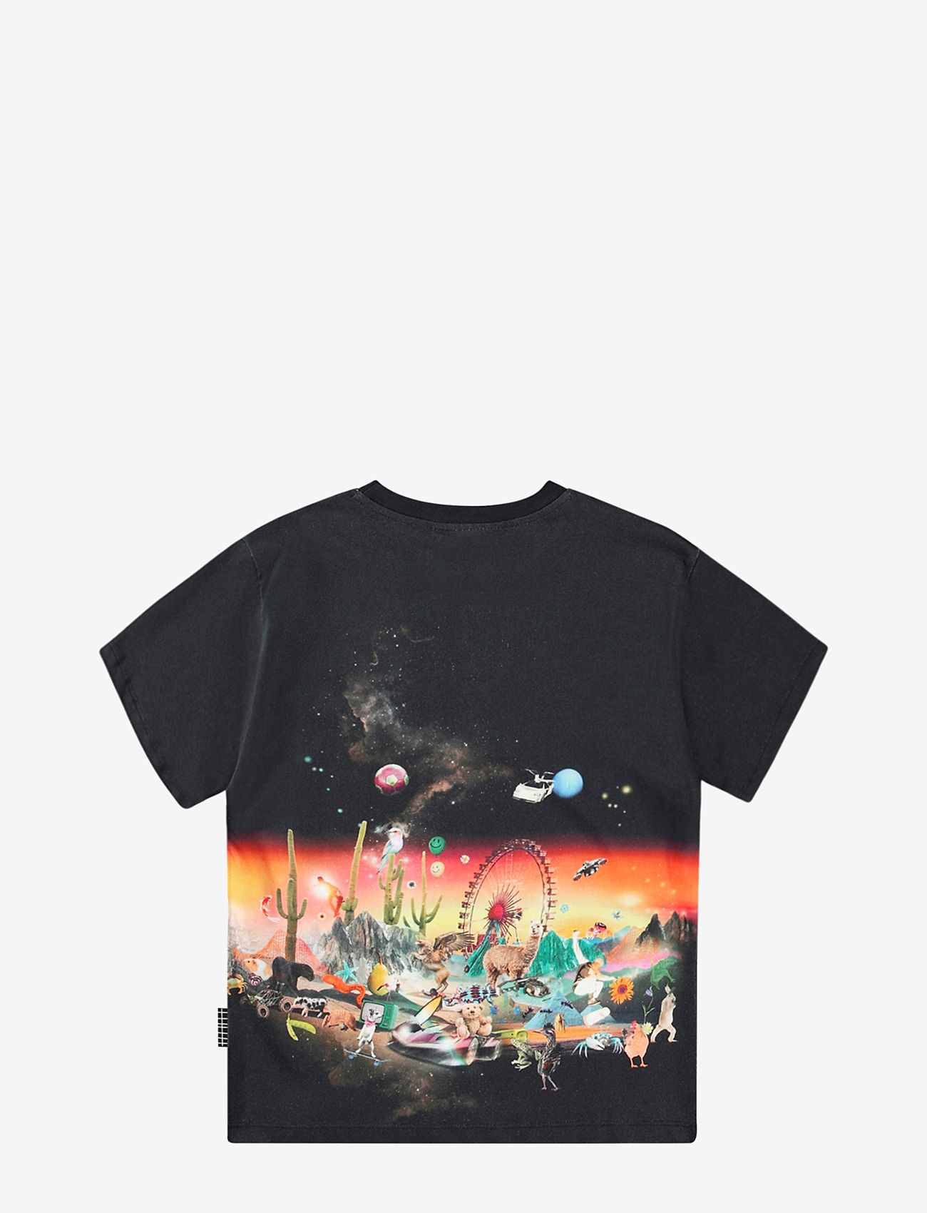 Molo - Rodney - all things - 1