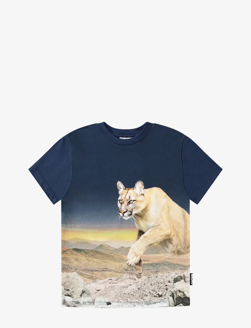 Molo - Roxo - lühikeste varrukatega - puma blue - 0