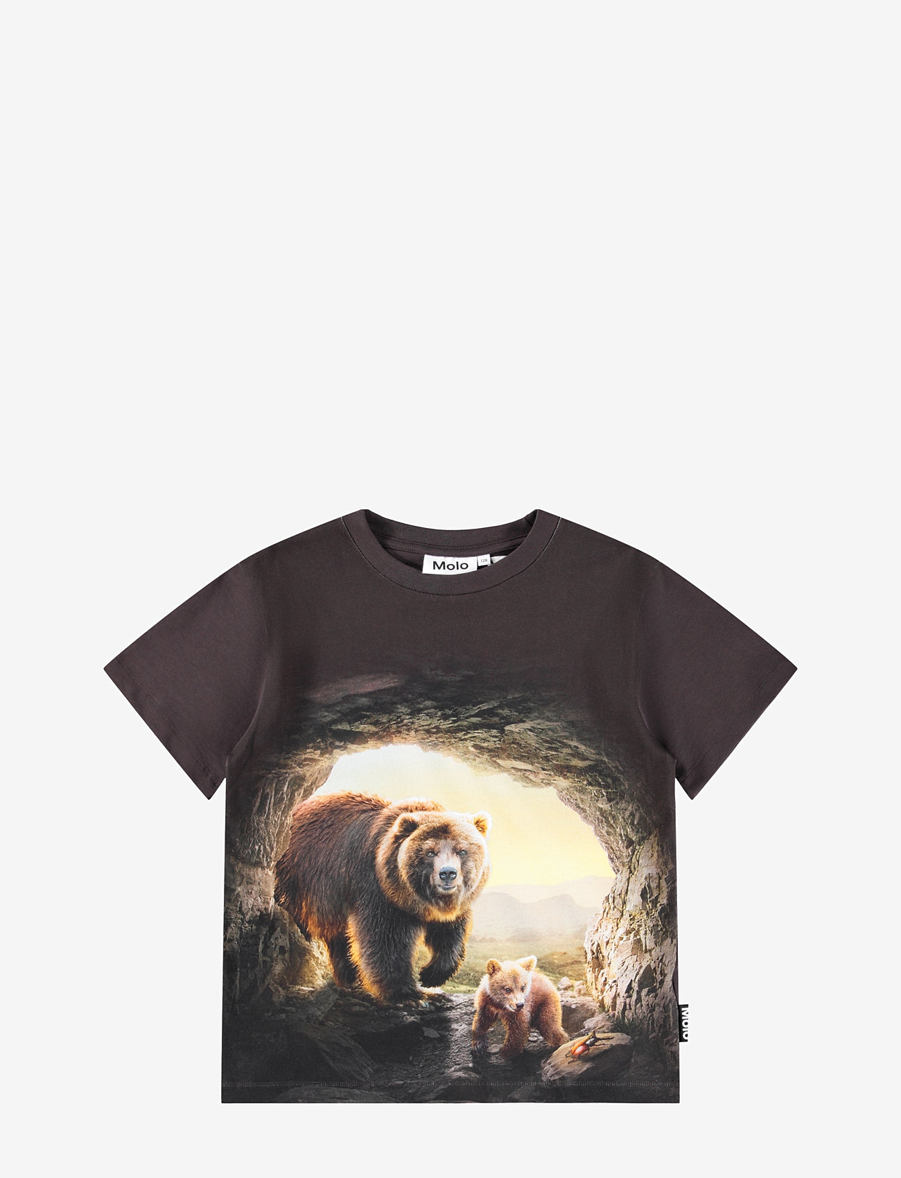 Molo - Riley - kortärmade - cave bears - 0