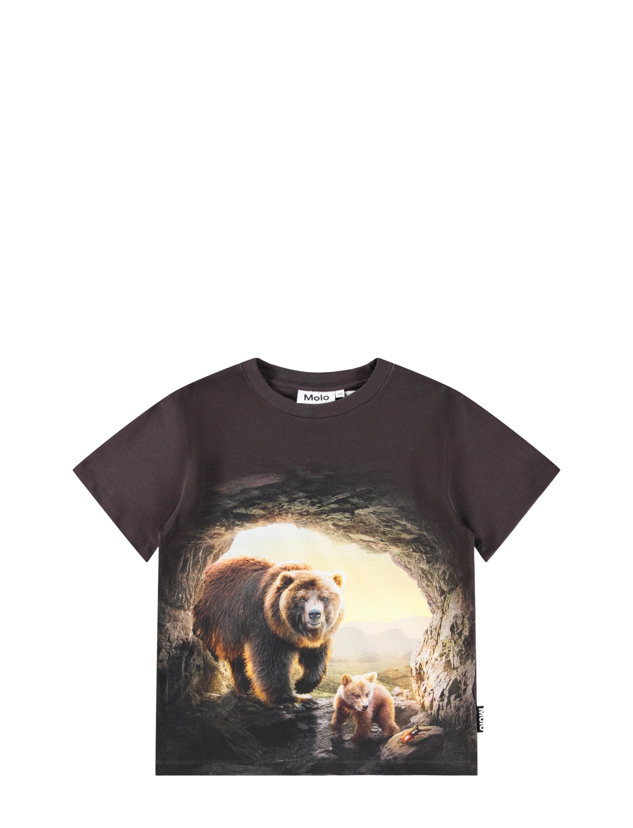 CAVE BEARS