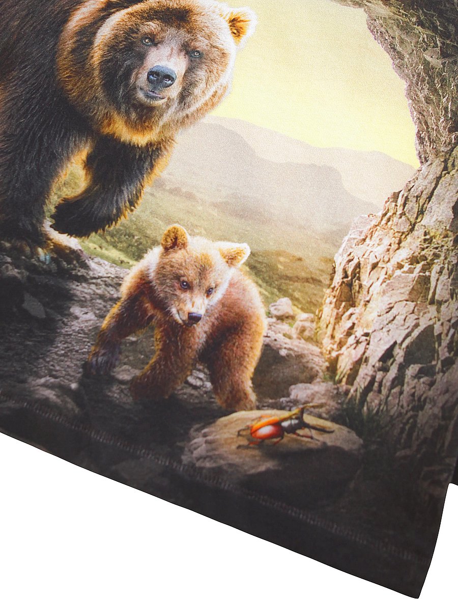 Molo - Riley - t-shirts - cave bears - 2