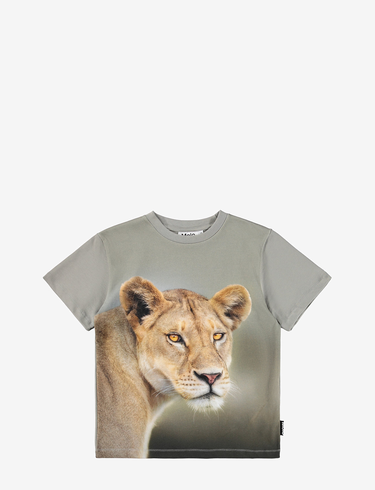 Molo - Riley - kortærmede - leo - 0