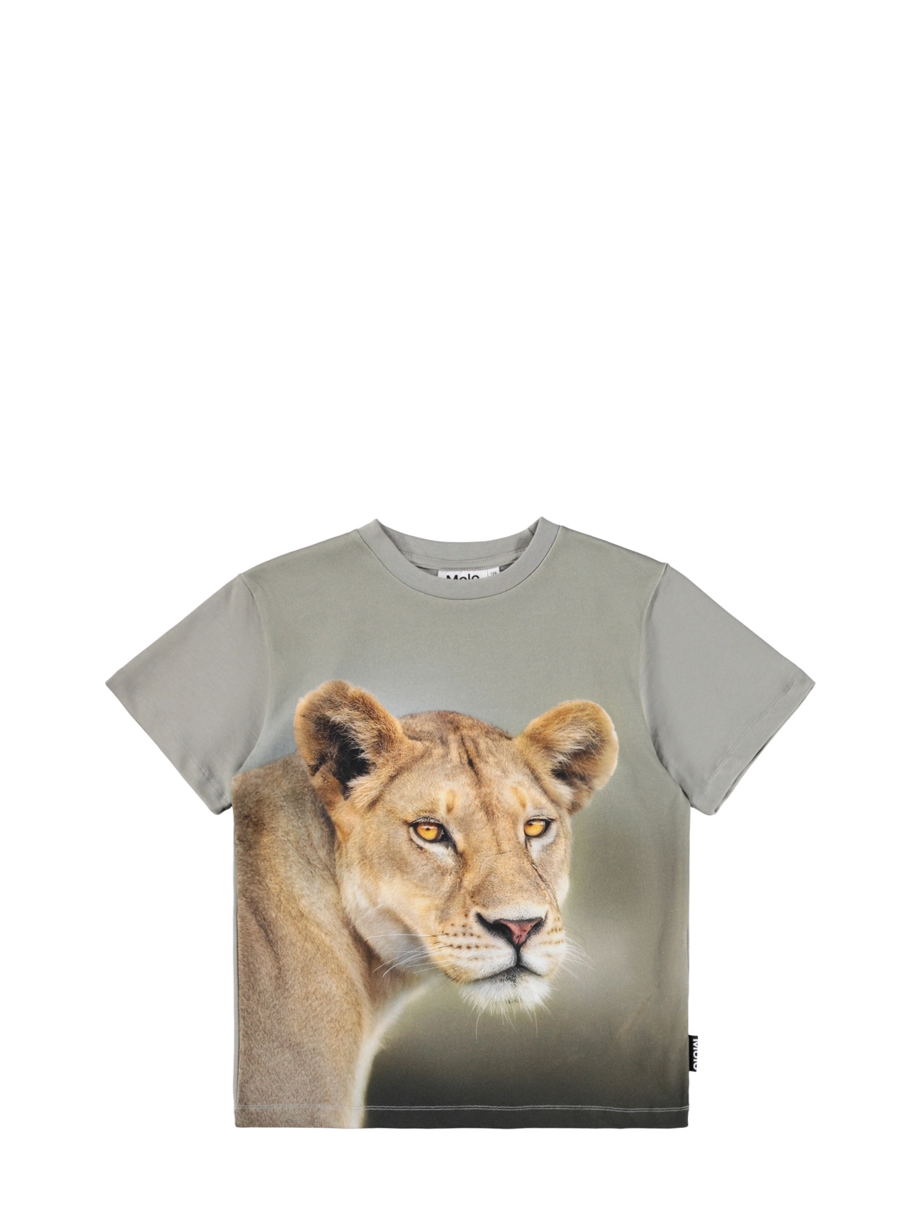 LEO
