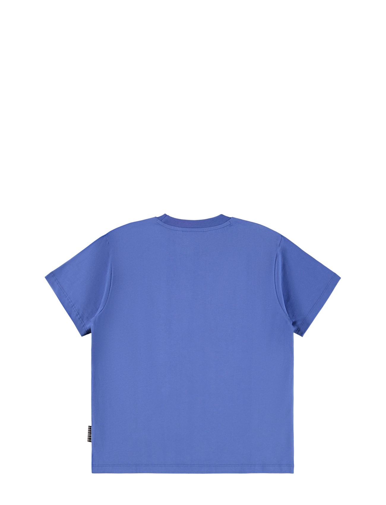 Molo - Rodney - kortärmade - dazzling blue - 2