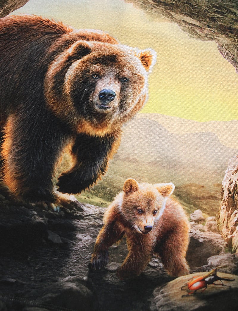 Molo - Reif - långärmade - bears in cave - 2