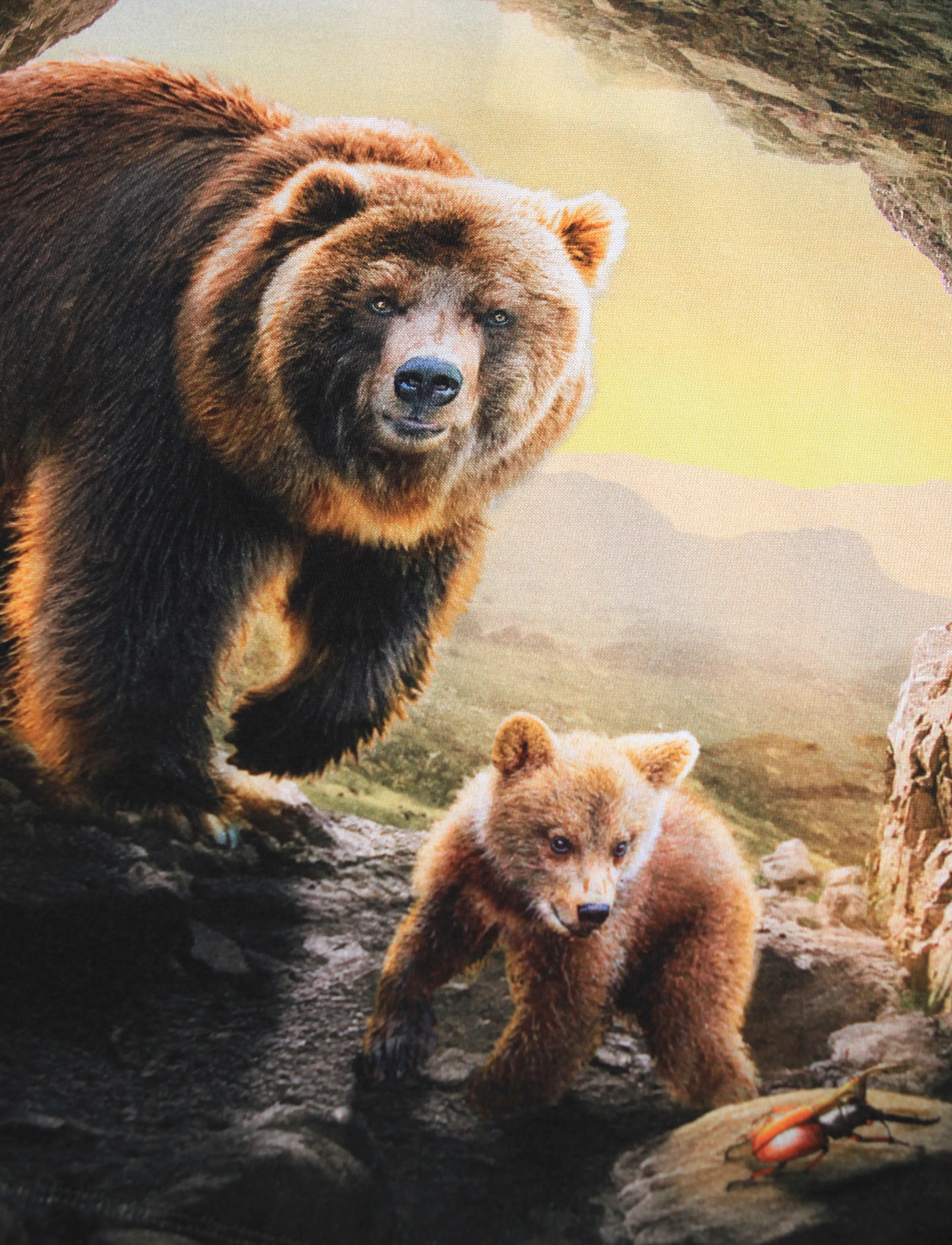 Molo - Reif - långärmade - bears in cave - 2