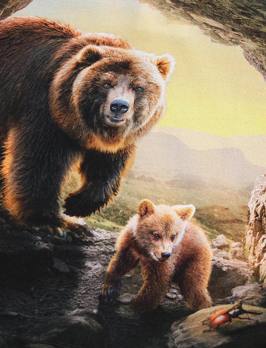 Molo - Reif - pikkade varrukatega - bears in cave - 2