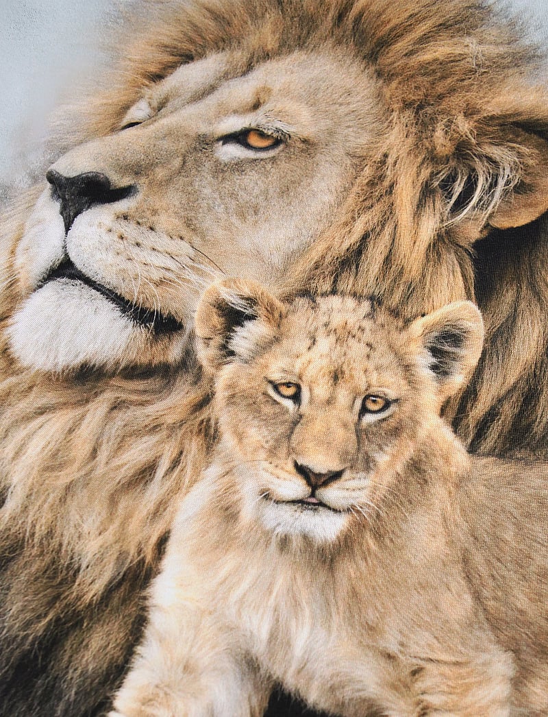 Molo - Reif - långärmade - lion family - 2