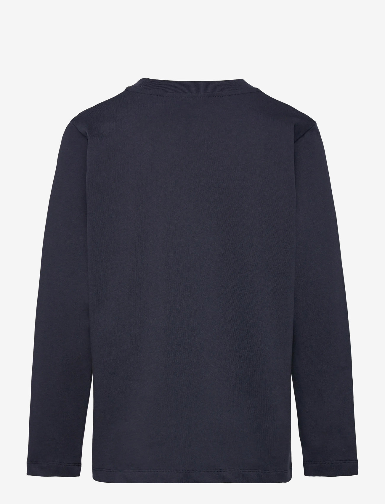 Molo - Reif - långärmade - meteor dino - 1