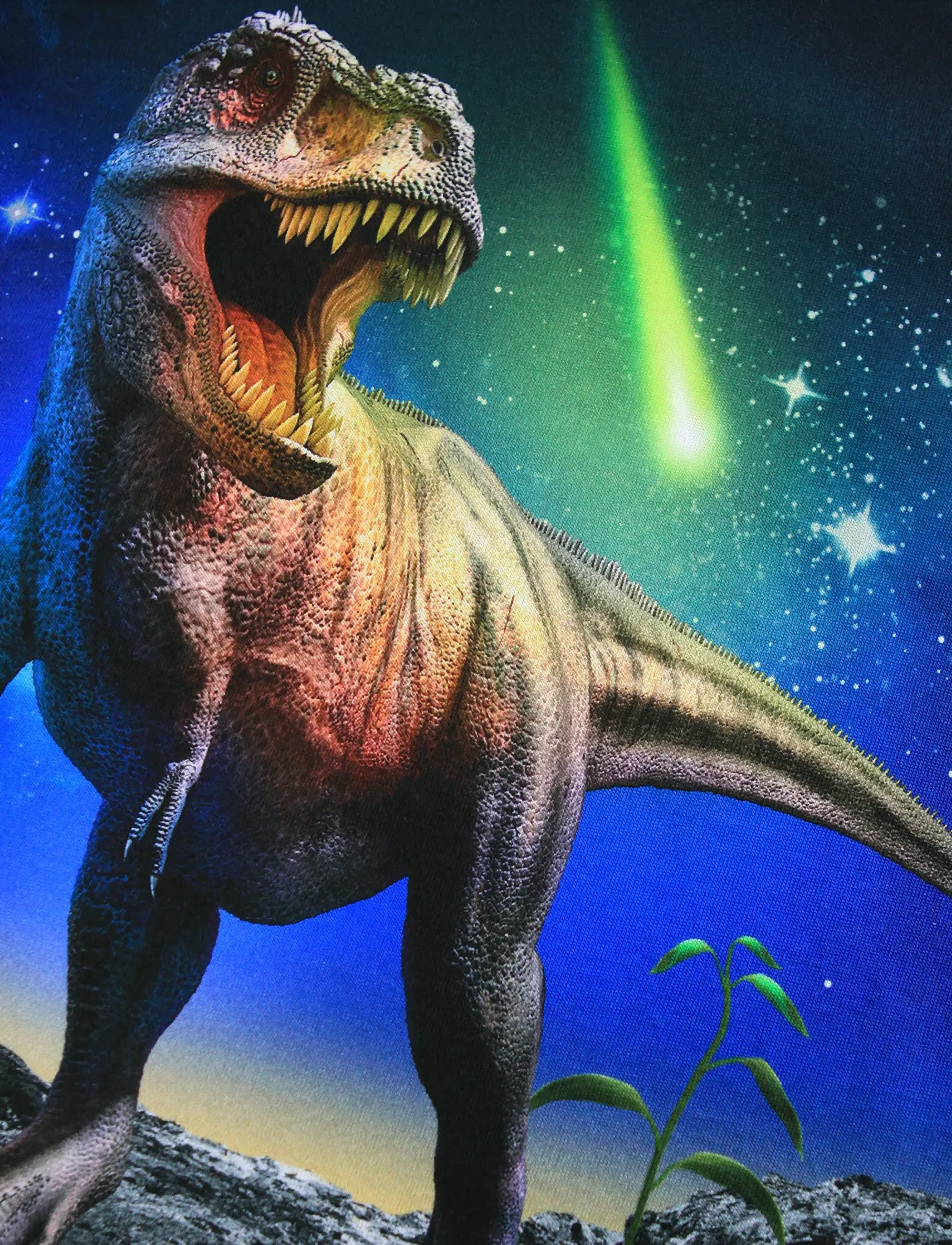 Molo - Reif - pitkähihaiset paidat - meteor dino - 2